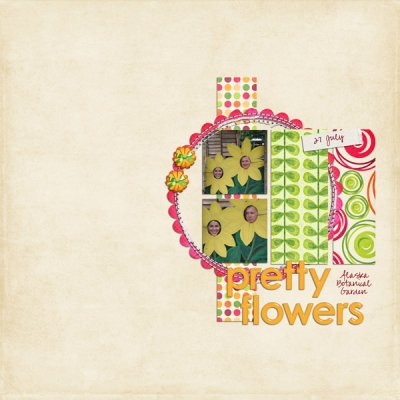 Pretty Flowers