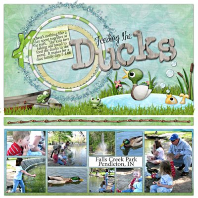 Feeding the Ducks