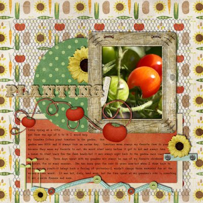 Planting Tomatoes