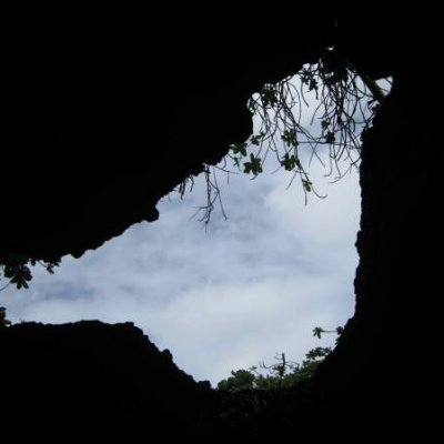 Photo Challenge (bird)