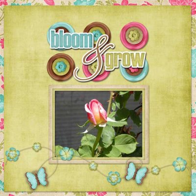 bloom and grow