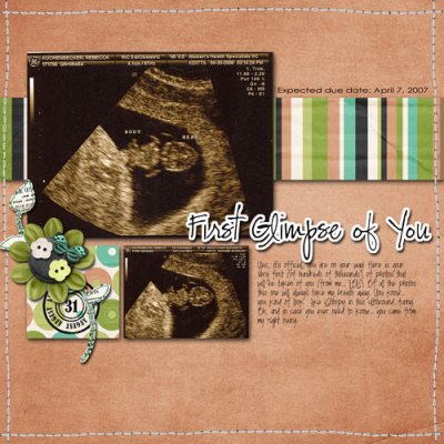 Prego Book_ultrasound