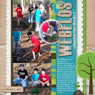 Webelos Conservation Project
