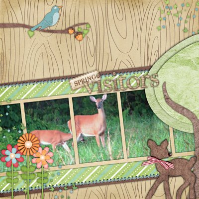 Spring Visitors