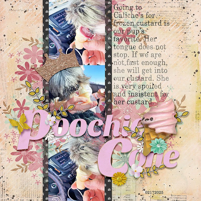 0217-poochie-cone-copy.jpg