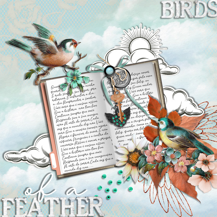 #09b_BirdsOfAfeather