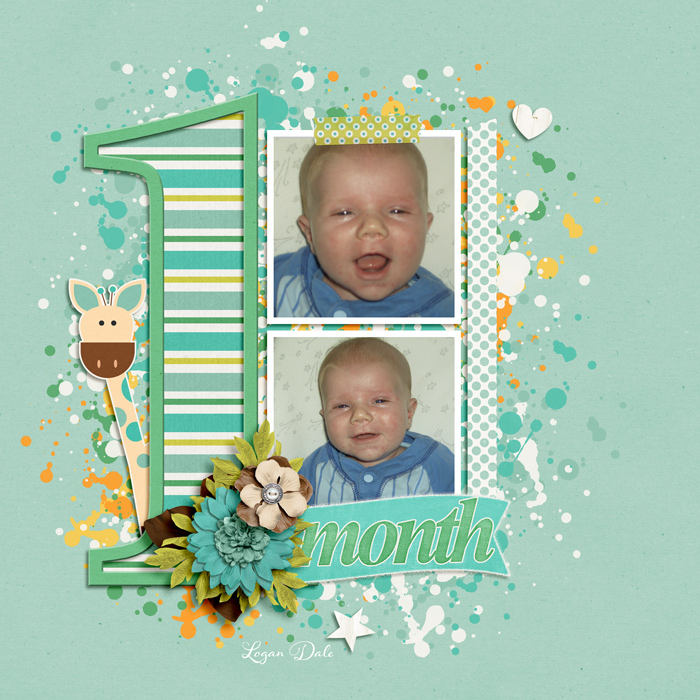 1 Month