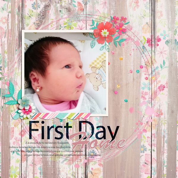 #1 New Feebies - First Day Home