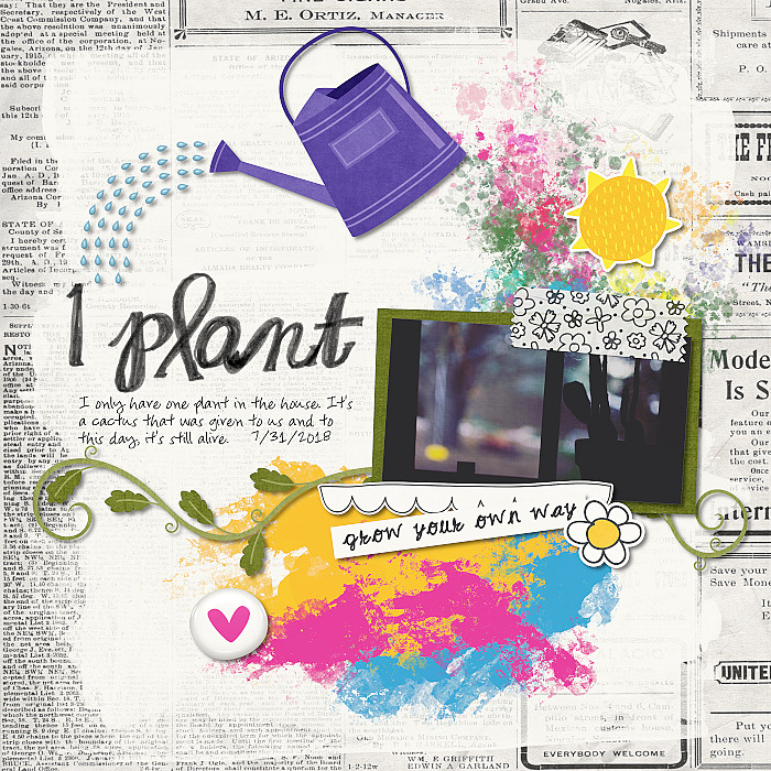 1 Plant