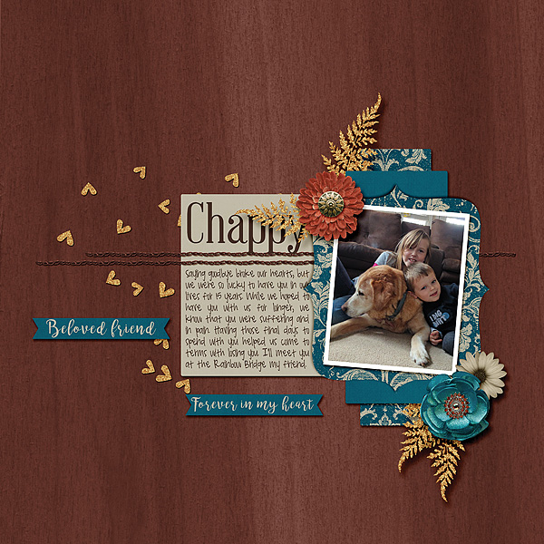 10 - Chappy