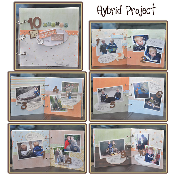 10 Things to Explore at the Zoo Hybrid Book