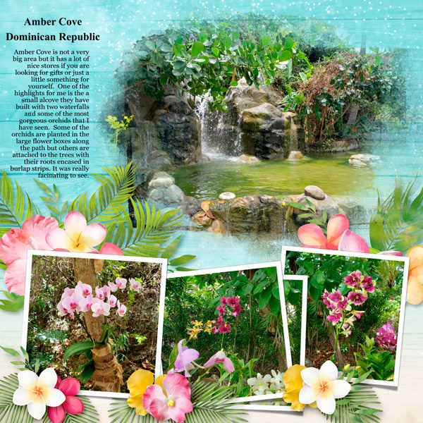 10B-Amber Cove, DR