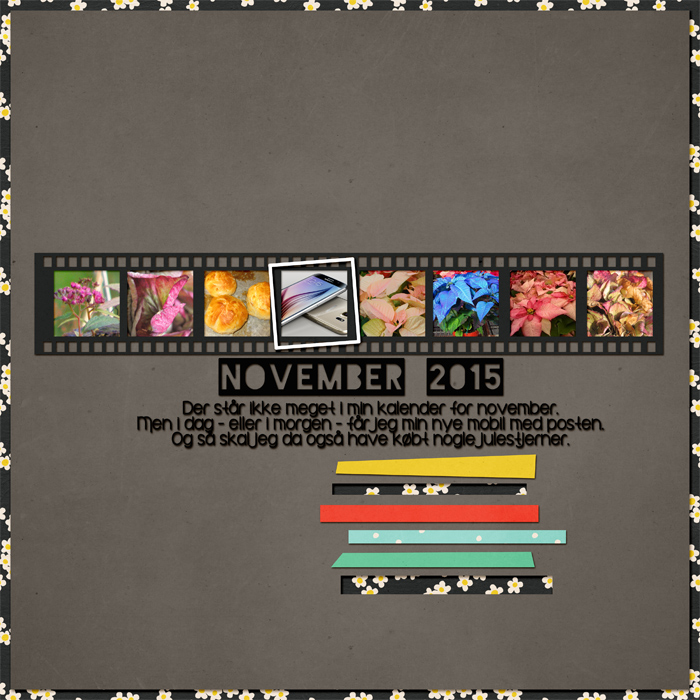 11 Calendar