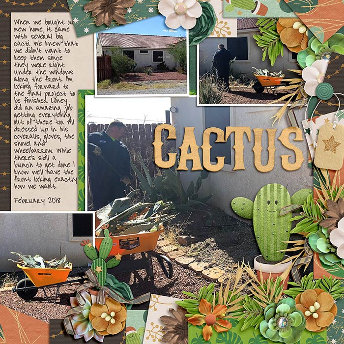 #12 - Cactus