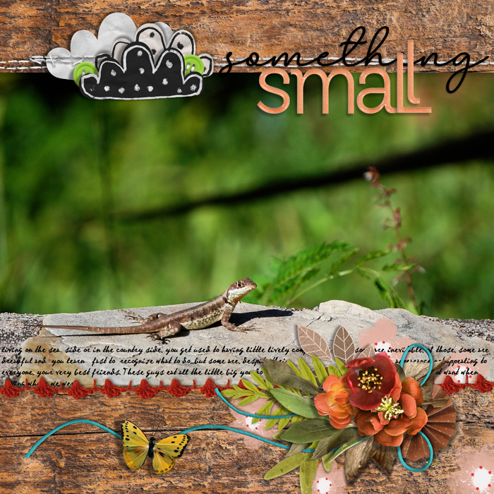#12a_SomethingSmall