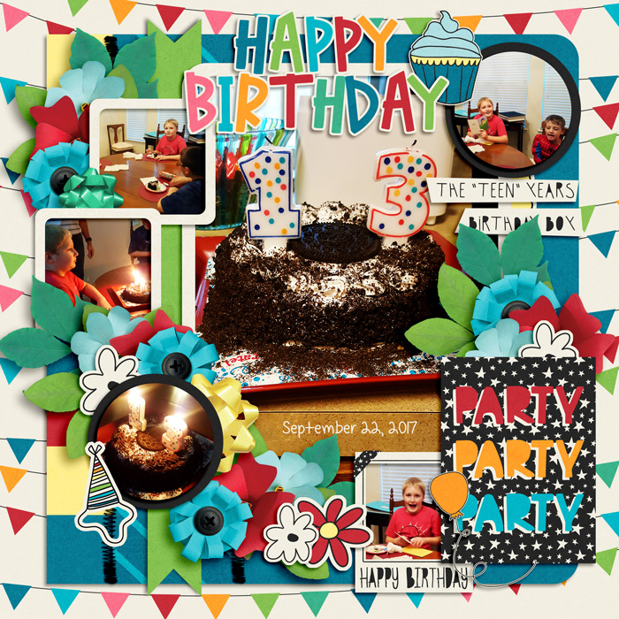 13th Birthday (2017)