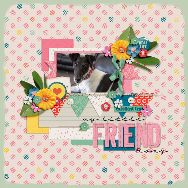 #14 - My little friend