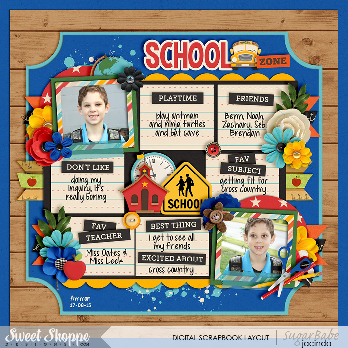 15-08-17-School-zone-700b