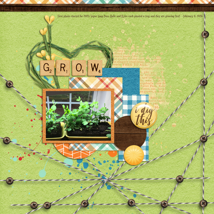 #16 Pop Culture Seed Starting