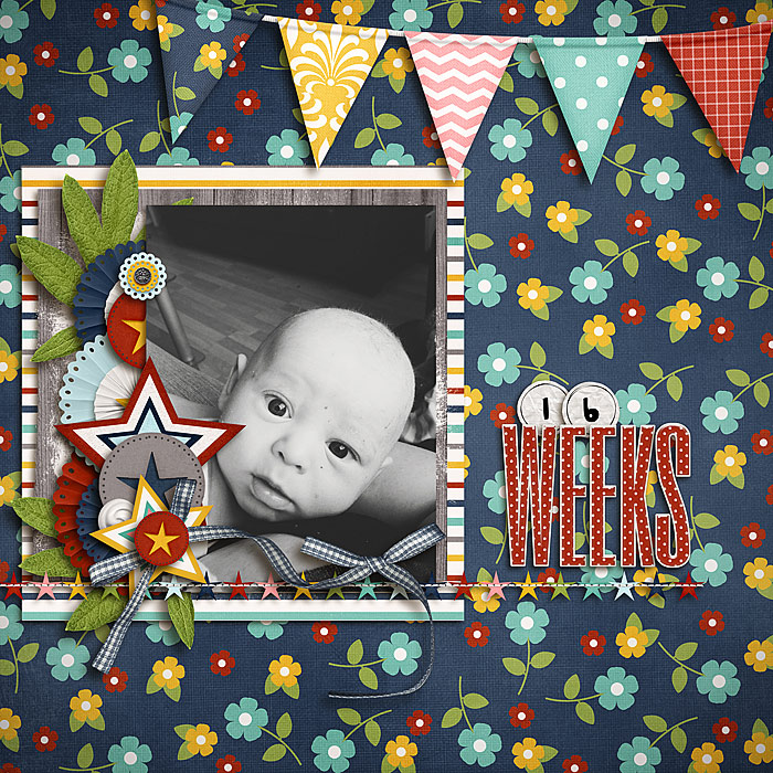 16 Weeks