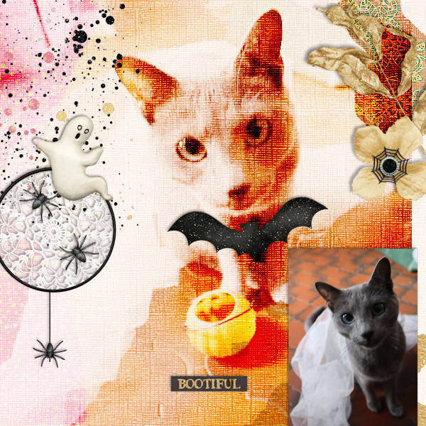 #17 blended bg