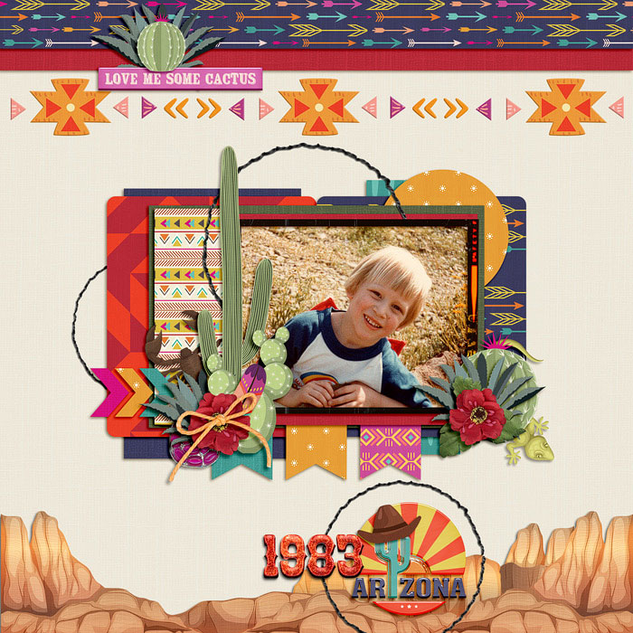 1983 Arizona