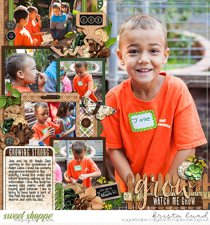 1st Grade Alden Lane Garden