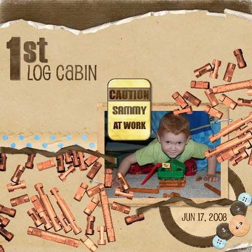 1st Log Cabin