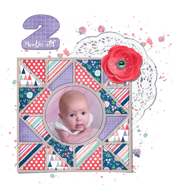 2 Months Old