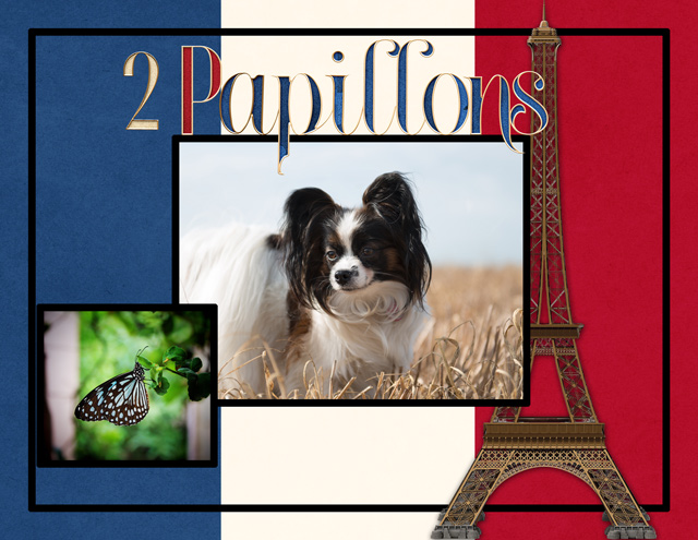2 Papillons