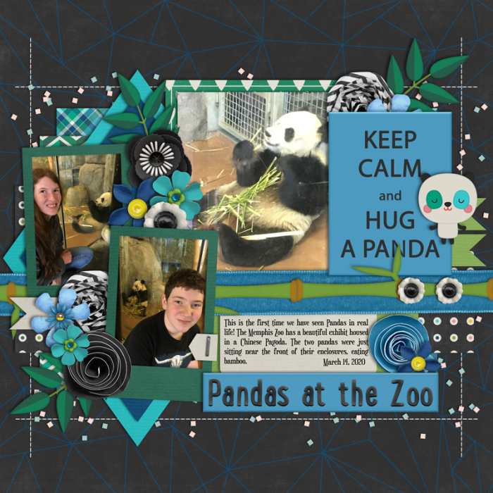 #2 Product Pandas at the Zoo
