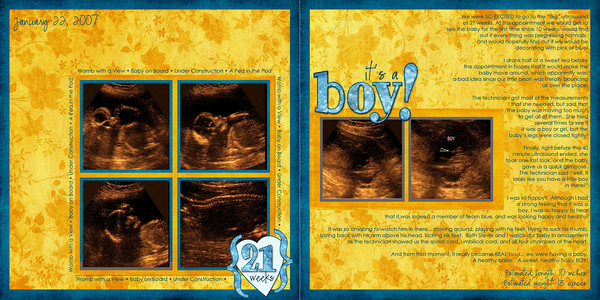 20 weeks Ultrasound - It's a BOY!