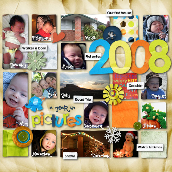 2008 in pictures