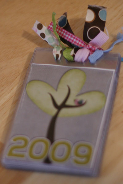 2009 Badge Album