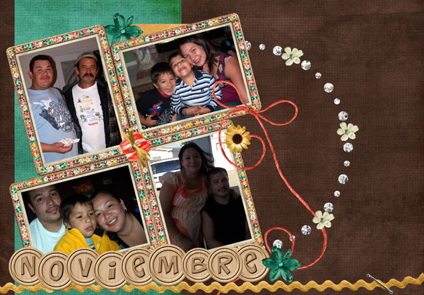 2009 Calendar November