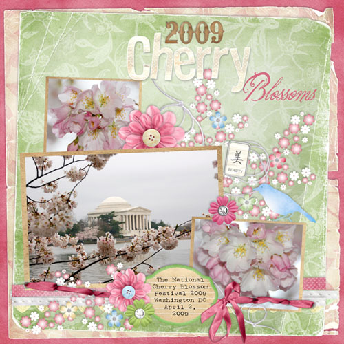 2009 Cherry Blossoms