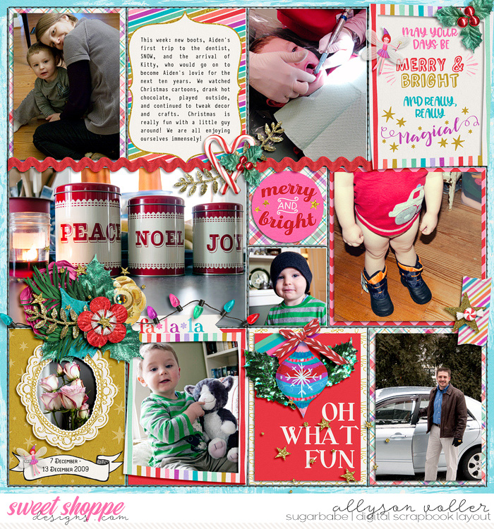 2009 December PL 03