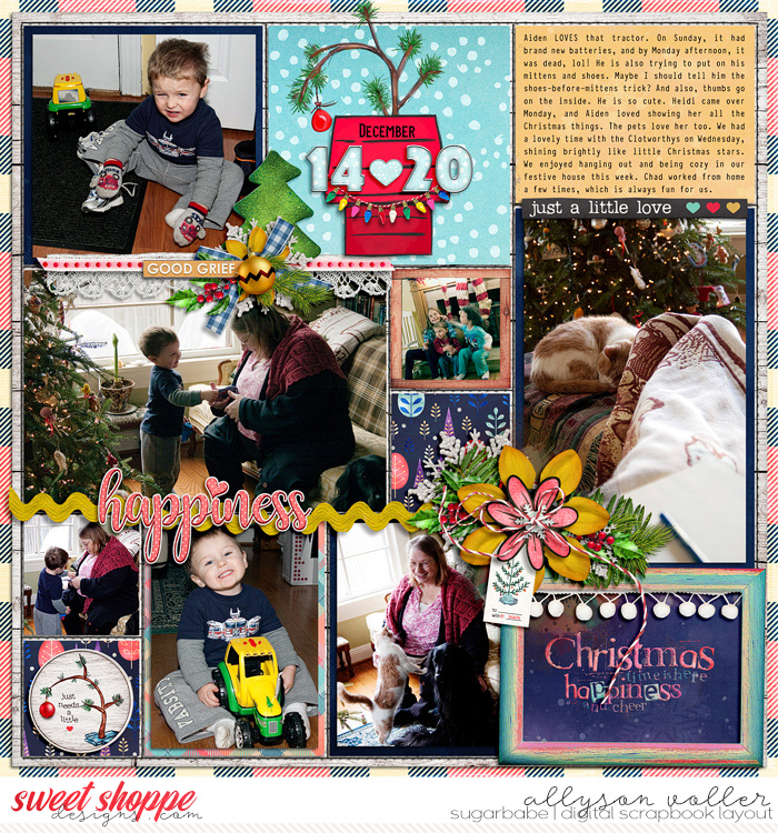 2009 December PL 05