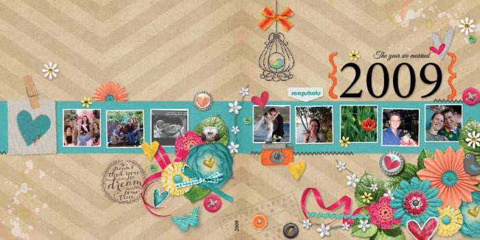 2009 photobook cover