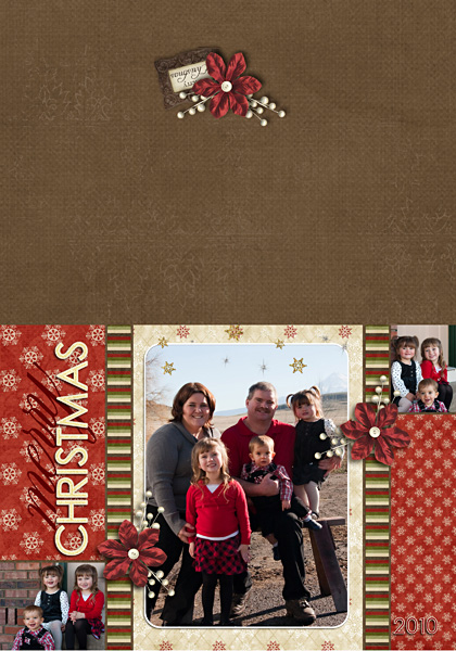 2010 Christmas Card 5x7