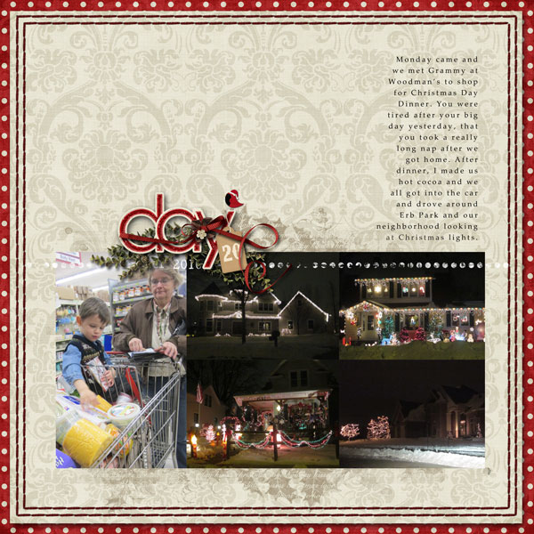 2010 Dec Daily 20