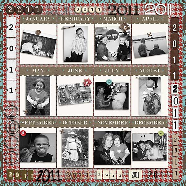 2011 In Pictures