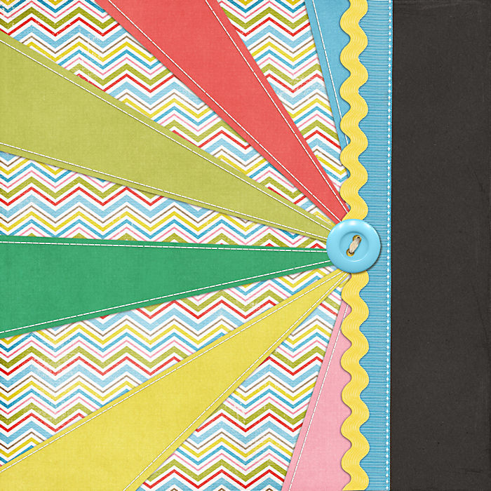 2011 p365 Cover - Back