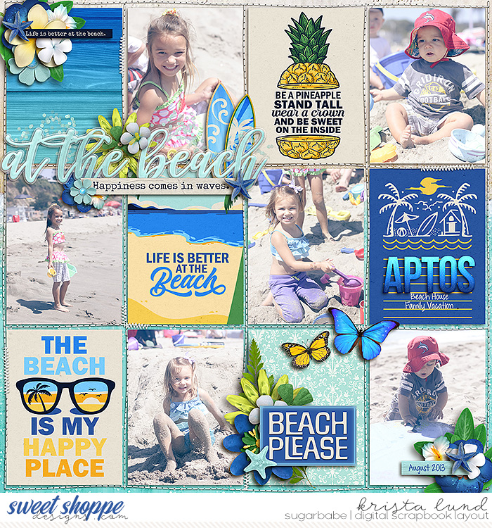 2013 Happiness at the Beach