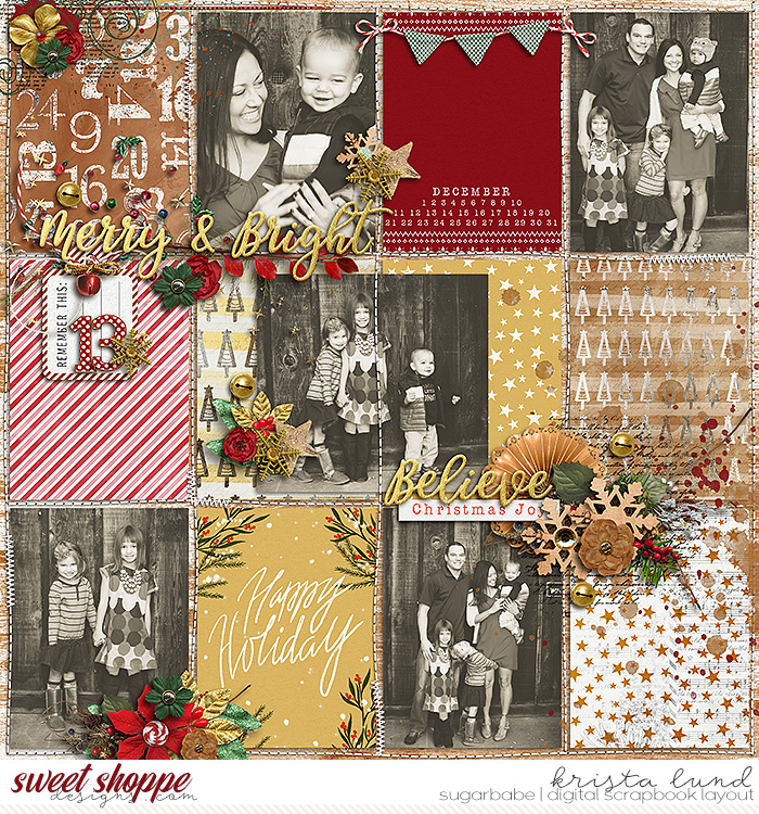 2013 Happy Holidays
