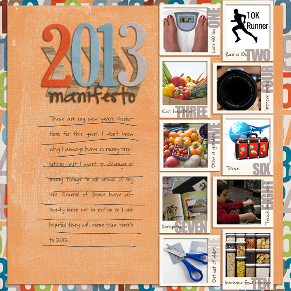 2013 manifesto