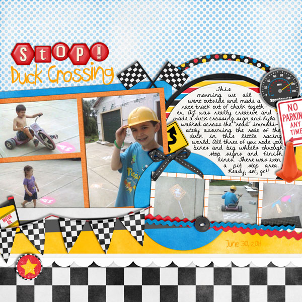 2014-06-30_StopDuckCrossingP