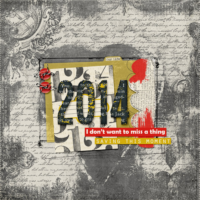 2014 Book Cover