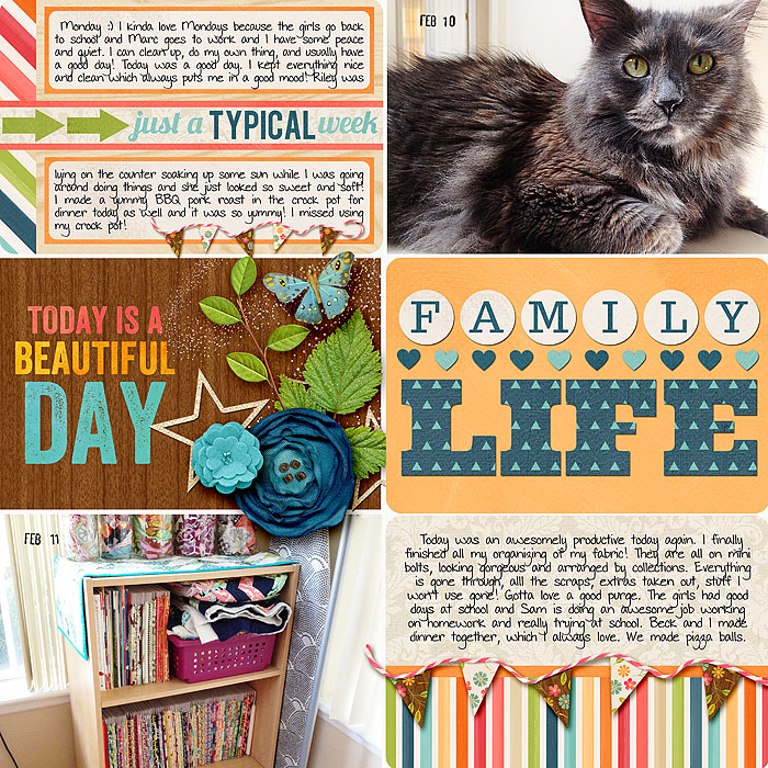 2014 Feb 10th to 11th