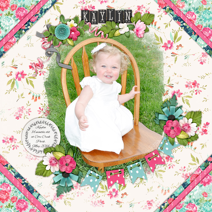 2014-may-KK-CCPark2-kcb-all-the-happy-things